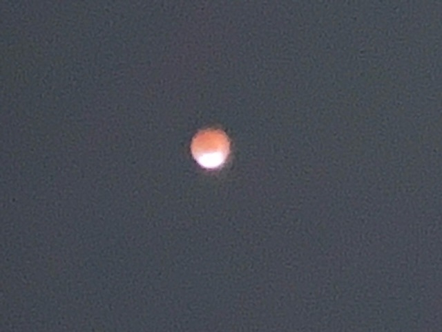 photo 20221108 total lunar eclipse